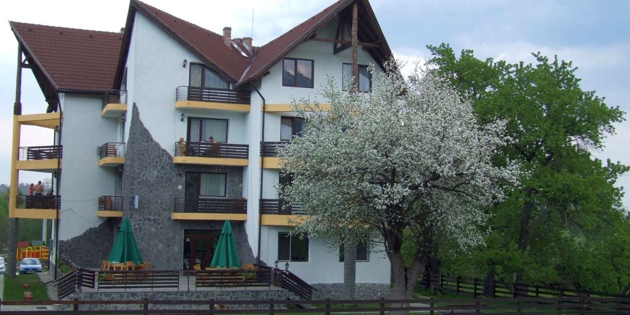 Vila Alisa 3*  Bran 
