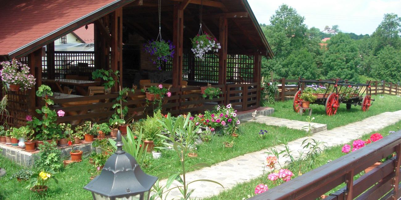 Vila Alisa 3*  Bran 
