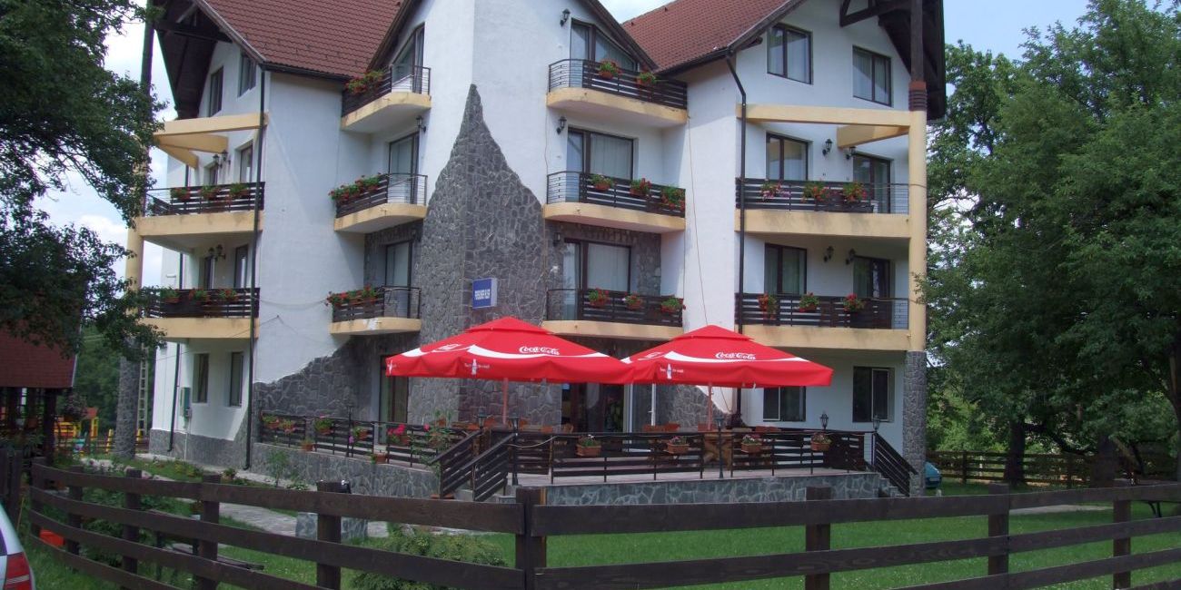 Vila Alisa 3*  Bran 