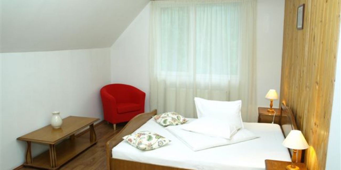 Vila Alisa 3*  Bran 