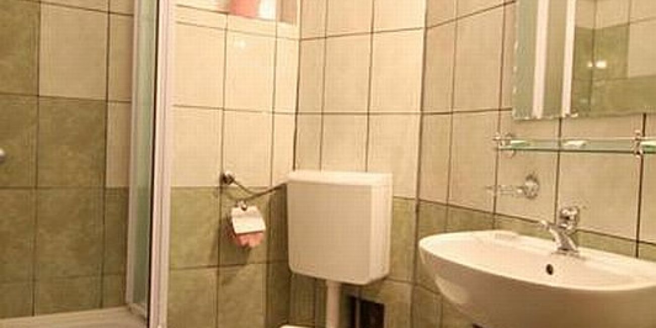 Vila Alpin 3* - Pensiune Completa + Masa Festiva Craciun Straja 