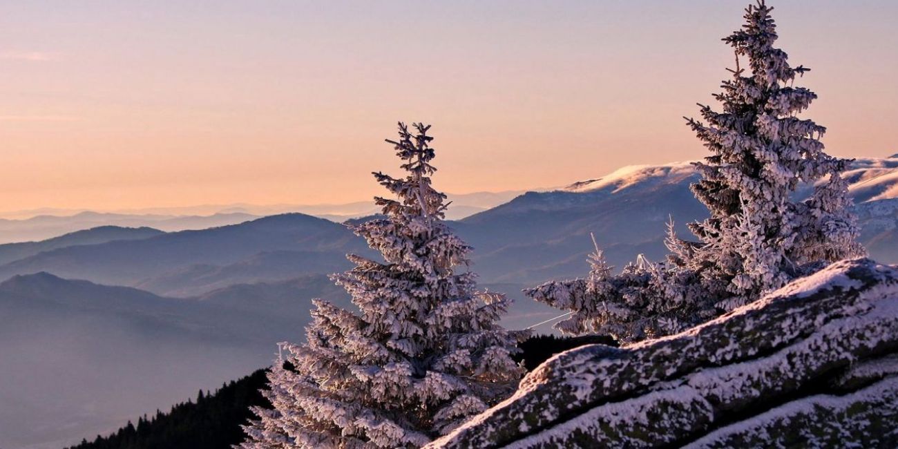 Villa Zvoncica 4* Kopaonik 