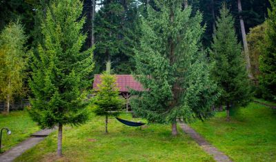 Imagine pentru Hotel Floare de Colt 3* valabile pentru 1 Decembrie 2024