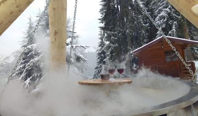 Imagine pentru Complex Turistic Alpina Blazna 3* valabile pentru 1 Decembrie 2025