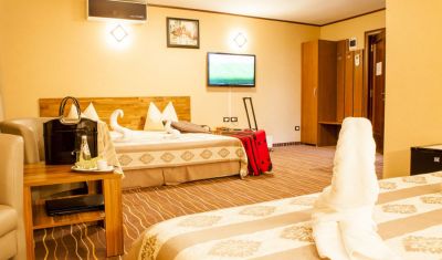 Imagine pentru Hotel Belvedere 3* valabile pentru 1 Decembrie 2025