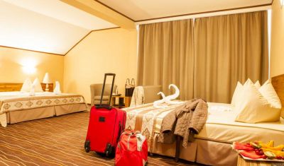 Imagine pentru Hotel Belvedere 3* valabile pentru 1 Decembrie 2025