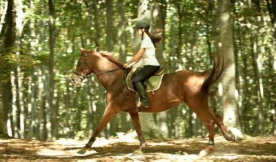 Imagine pentru Hotel Septimia Resort 4 * valabile pentru 1 Decembrie 2025