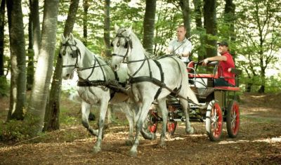 Imagine pentru Hotel Septimia Resort 4 * valabile pentru 1 Decembrie 2025