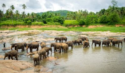 Imagine pentru Sri Lanka - A Opta Minune a Lumii valabile pentru Asia