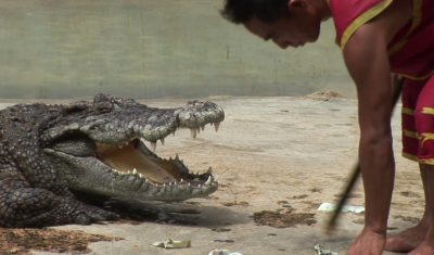 Imagine pentru Thailanda: Pattaya si Bangkok - Plaja, Soare si Mare de 5 stele valabile pentru Asia