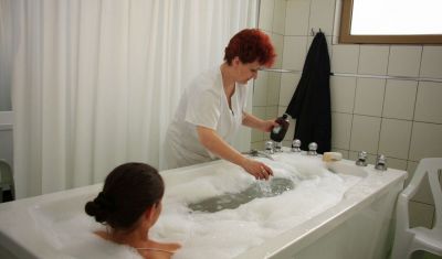 Imagine pentru Hotel Alunis 3* valabile pentru Balneo 2023