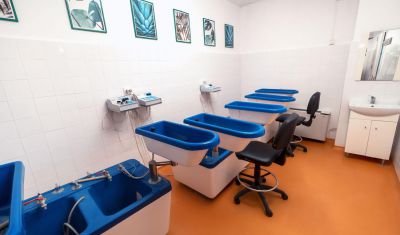 Imagine pentru Hotel Tisa 3* valabile pentru Balneo 2023