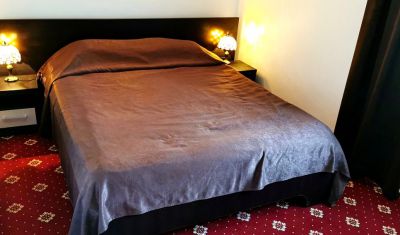 Imagine pentru Hotel Dacia 3* valabile pentru Balneo 2025