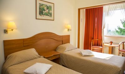 Imagine pentru Hotel Germisara Resort & Spa 4* valabile pentru Balneo 2025