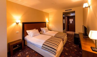 Imagine pentru Hotel Phoenix Conference Spa Buzias 4* valabile pentru Balneo 2025