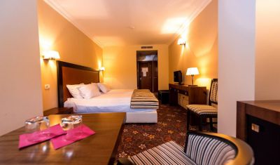 Imagine pentru Hotel Phoenix Conference Spa Buzias 4* valabile pentru Balneo 2025