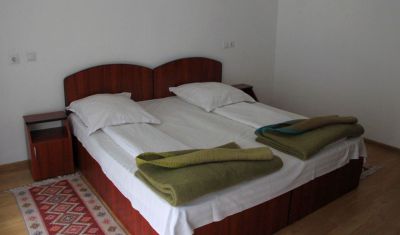 Imagine pentru Hotel Roman 2* valabile pentru Balneo 2025