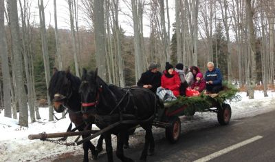 Imagine pentru Grand Hotel Balvanyos 4* valabile pentru Balneo