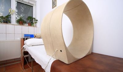 Imagine pentru Hotel Alice 3* valabile pentru Balneo