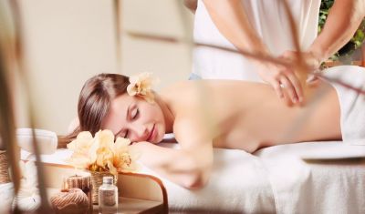 Imagine pentru Hotel Nufarul 3* valabile pentru Balneo