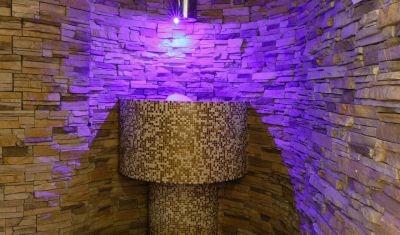 Imagine pentru Hotel Orizont Cozia 3* valabile pentru Balneo