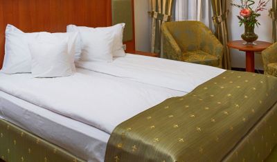 Imagine pentru Hotel Palace Baile Govora 4* valabile pentru Balneo