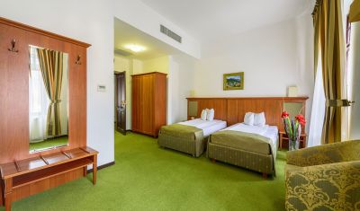 Imagine pentru Hotel Palace Baile Govora 4* valabile pentru Balneo