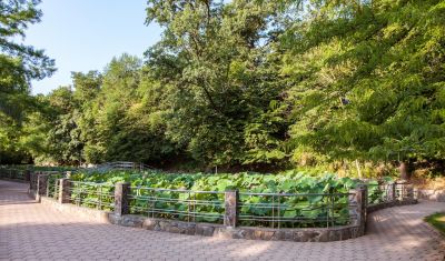 Imagine pentru Hotel Poienita 3* valabile pentru Balneo