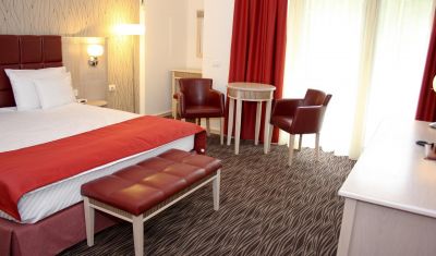 Imagine pentru Hotel President 4* valabile pentru Balneo