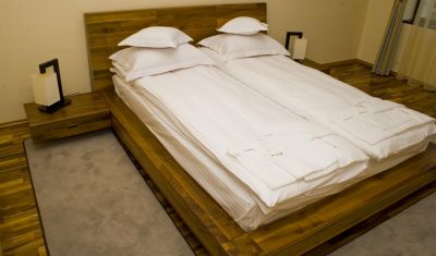 Imagine pentru Pensiunea Anthimos 4*  valabile pentru Balneo