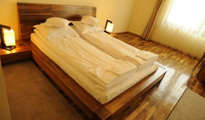 Imagine pentru Pensiunea Anthimos 4*  valabile pentru Balneo