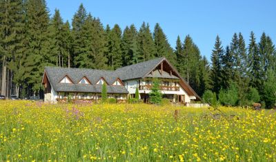 Imagine pentru Pensiune Inima Bucovinei 4* valabile pentru Bucovina 2023