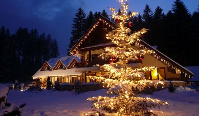 Imagine pentru Pensiune Inima Bucovinei 4* valabile pentru Bucovina 2023