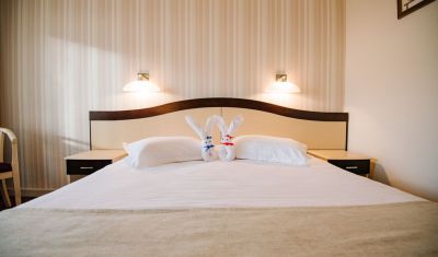 Imagine pentru Hotel Caprioara Spa Wellness Resort 4* valabile pentru Craciun 2023