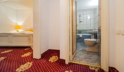 Imagine pentru Hotel Imparatul Romanilor Sibiu 3* valabile pentru Craciun 2023