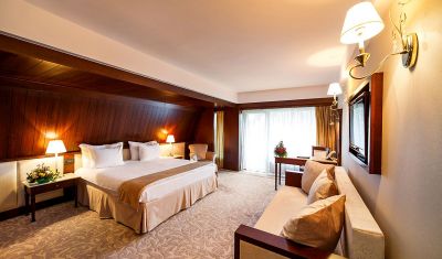 Imagine pentru Hotel International Sinaia 4* valabile pentru Craciun 2023