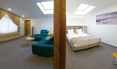 Imagine pentru Aquarius Boutique Hotel  valabile pentru Craciun 2024