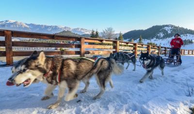 Imagine pentru Cheile Gradistei Resort Fundata 3* valabile pentru Craciun 2024