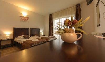 Imagine pentru Complex Turistic Panicel 3*  valabile pentru Craciun 2024