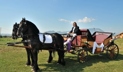 Imagine pentru Complex Turistic Panicel 3*  valabile pentru Craciun 2024