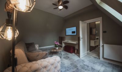 Imagine pentru Elexus Boutique Hotel 3* valabile pentru Craciun 2024