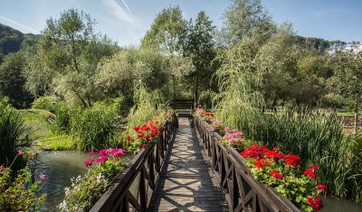 Imagine pentru Hotel Domeniul Dambu Morii 3* valabile pentru Craciun 2024