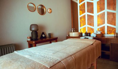 Imagine pentru Hotel Elexus Predeal 4* valabile pentru Craciun 2024