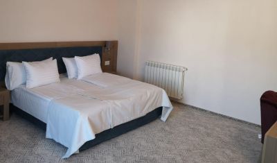 Imagine pentru Hotel New Wolf 4* (fost Hotel Wolf 1) valabile pentru Craciun 2024