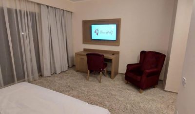 Imagine pentru Hotel New Wolf 4* (fost Hotel Wolf 1) valabile pentru Craciun 2024