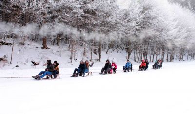 Imagine pentru Hotel O3zone 4*  valabile pentru Craciun 2024