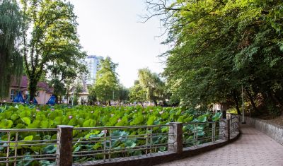 Imagine pentru Hotel Poienita 3* valabile pentru Craciun 2024