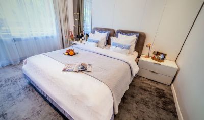 Imagine pentru Hotel Sinaia 4*  valabile pentru Craciun 2024