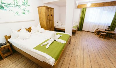 Imagine pentru Hotel SuperSki 3* valabile pentru Craciun 2024