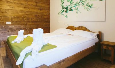 Imagine pentru Hotel SuperSki 3* valabile pentru Craciun 2024